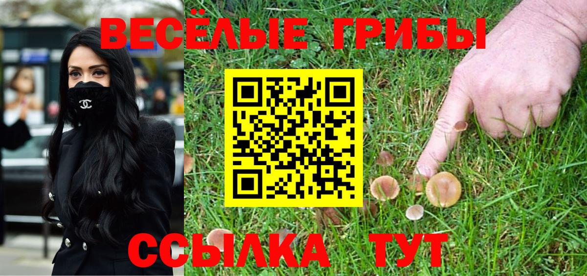 Карачаевск  Псилоцибиновые грибы Magic Shrooms  Вход с VPN  Галлюциногенные грибы прущие грибы 